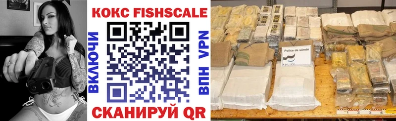 COCAIN Fish Scale  Купить закладки  Петушки 