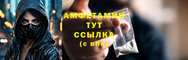 гидра Арсеньев