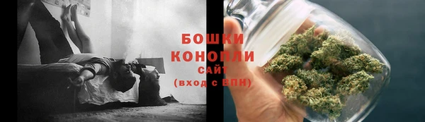 ПСИЛОЦИБИНОВЫЕ ГРИБЫ Балахна