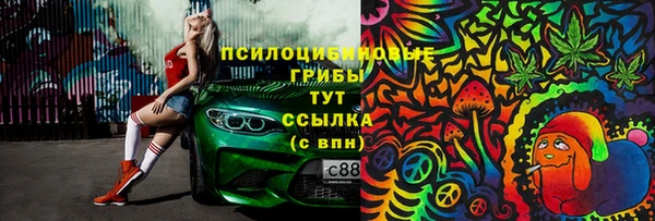 ПСИЛОЦИБИНОВЫЕ ГРИБЫ Балахна
