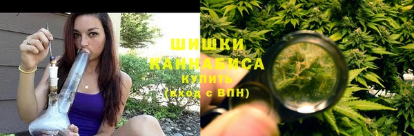 ПСИЛОЦИБИНОВЫЕ ГРИБЫ Балахна