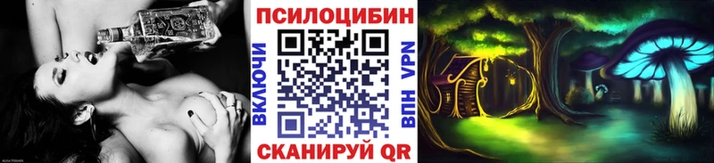 Купить закладки  Петушки  Псилоцибиновые грибы Cubensis 